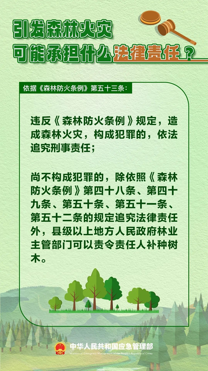 森林圖片1.jpg